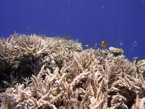 DSCN3596