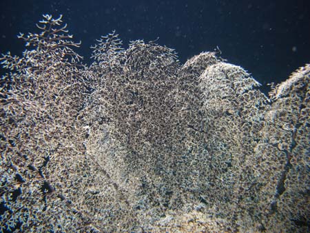 M0013633
