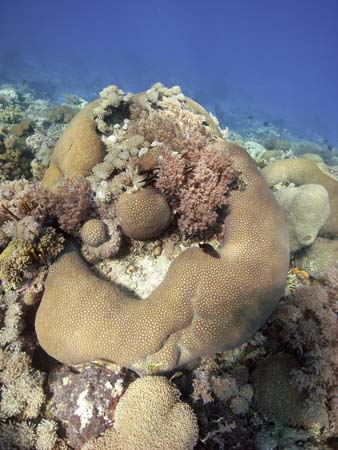 M0014291