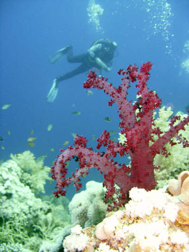 DSCN0319