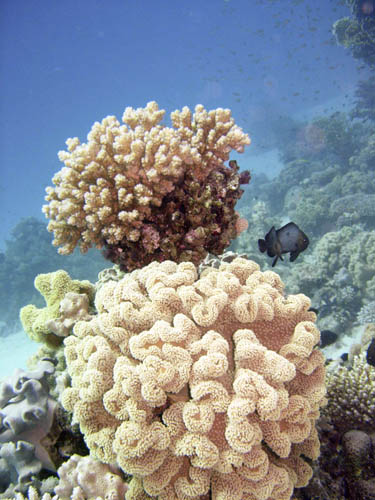 DSCN0524