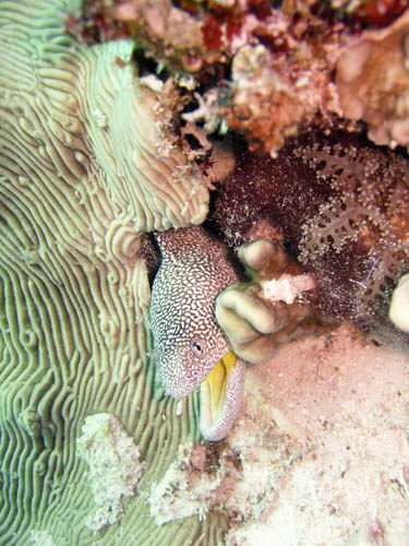DSCN0638