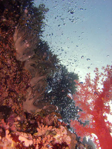 DSCN1227