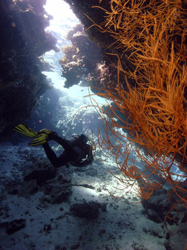 M0010735