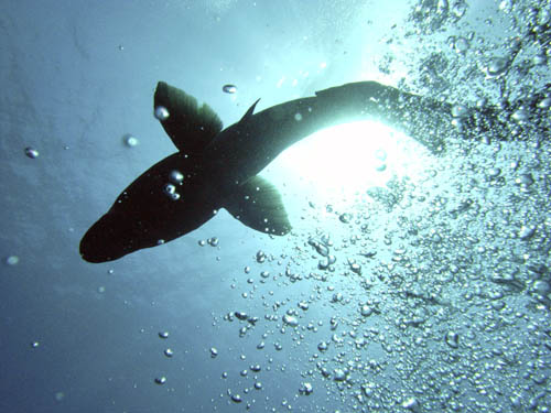 M0010872