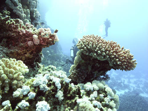 M0010894