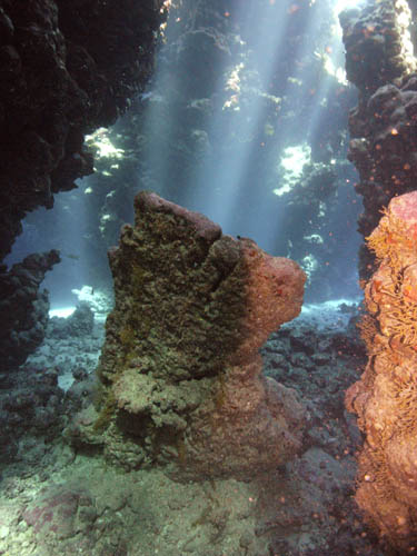 M0010914
