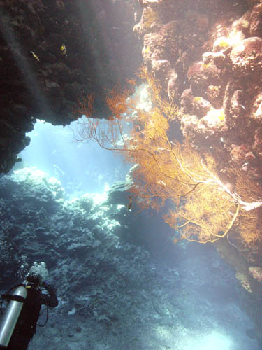 M0010917