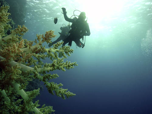 M0010957