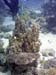 DSCN2867