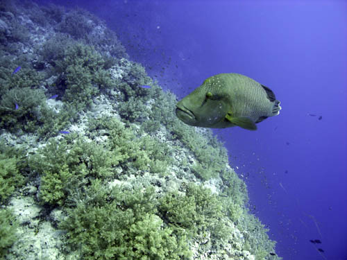 M0014705