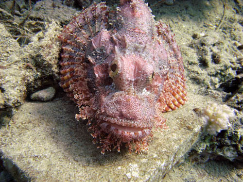 M0014776