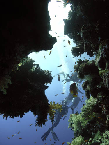 M0014896