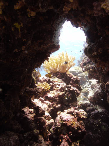 M0014981