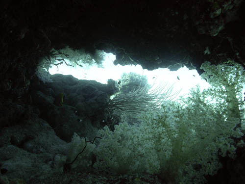 M0015119