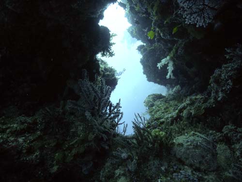M0016646