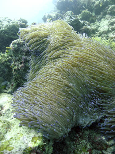 M0011318