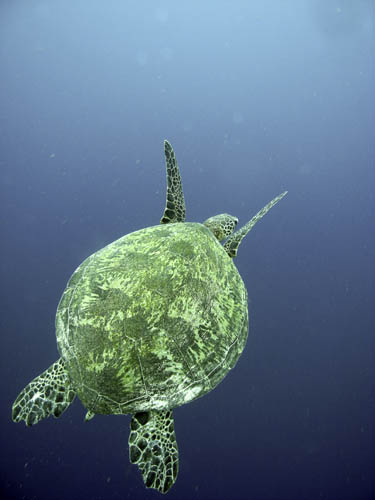 M0011470