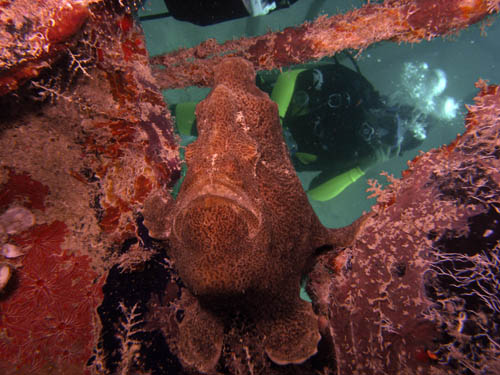 M0013021