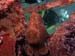 M0013021